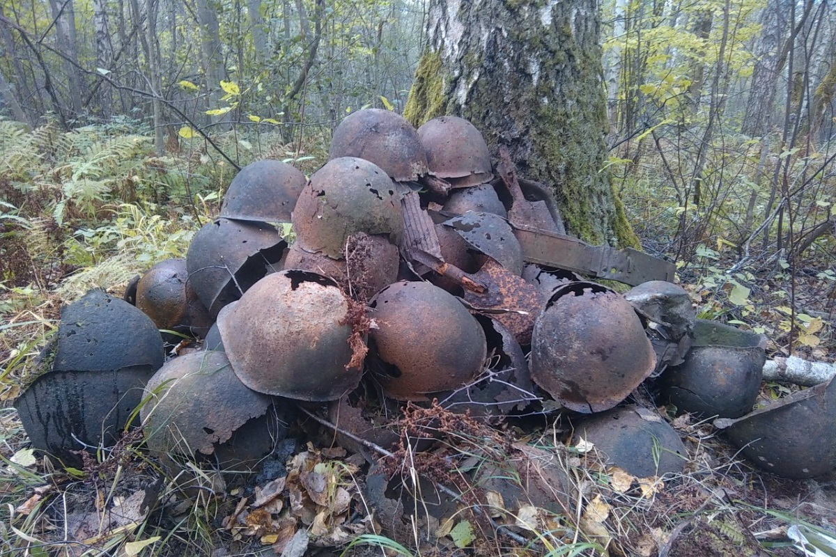 Путаница в сведениях и мародёры: тверские поисковики рассказали, с какими трудностями они сталкиваются в своей работе