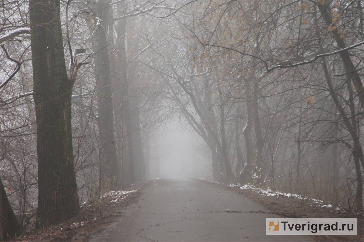 МЧС предупреждает водителей о тумане в Тверской области
