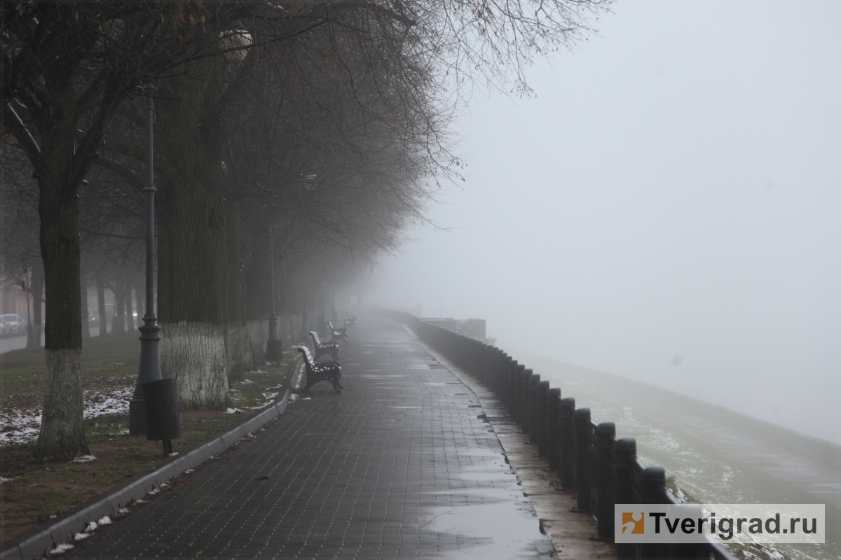 Жителей Тверской области предупреждают о тумане