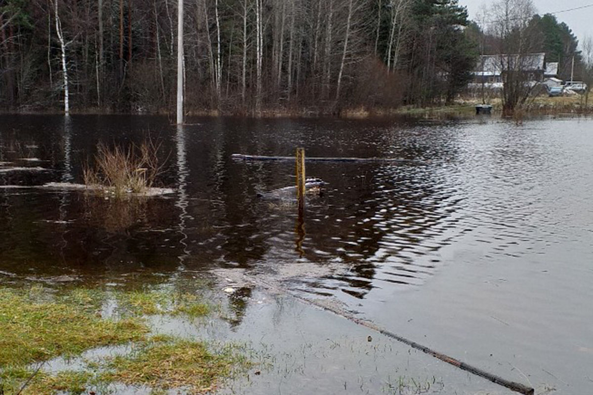 Большая вода в Тверской области: уровень воды в реках поднимается до опасной отметки