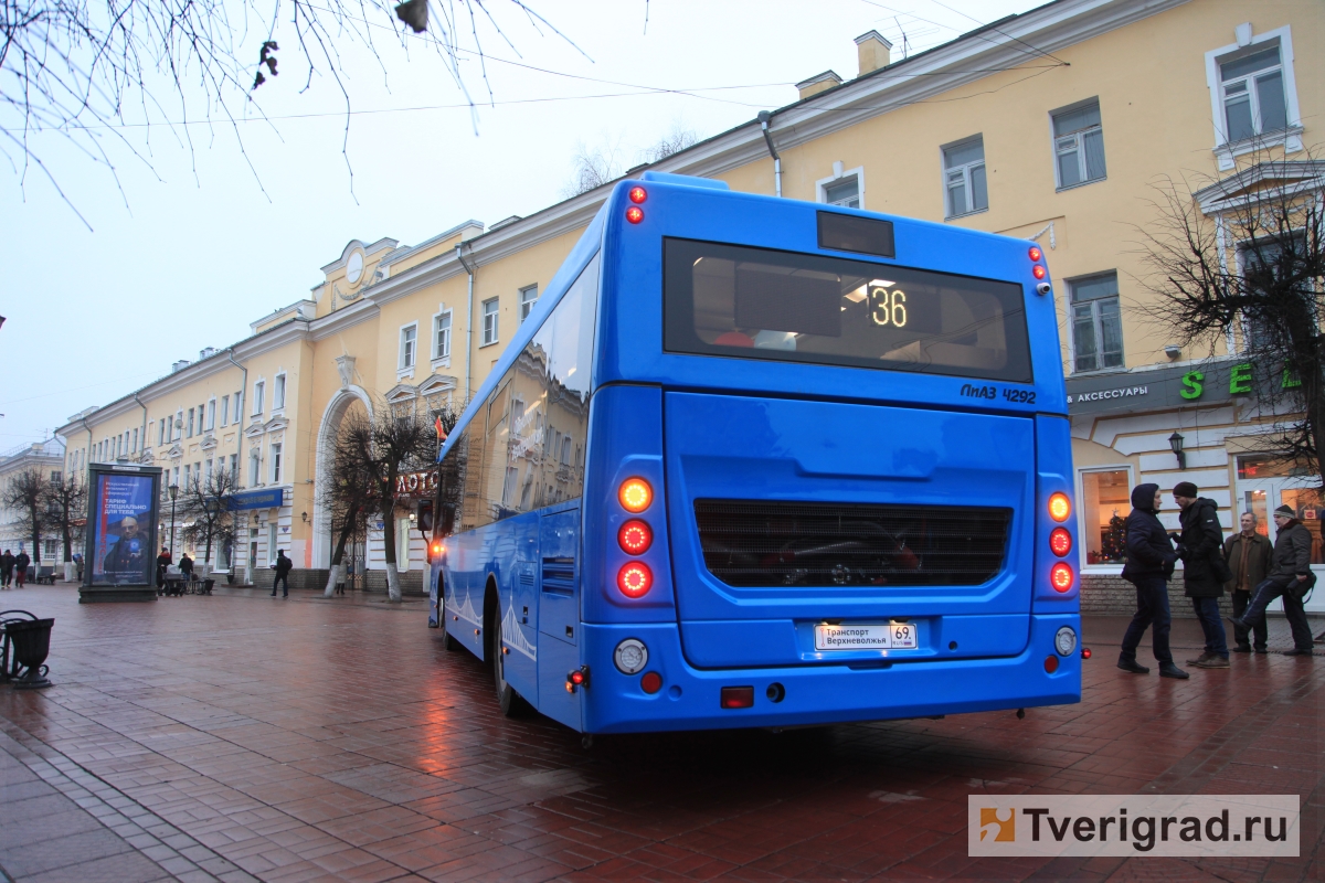 Стало известно, какие автобусы закупят для новой транспортной модели Твери