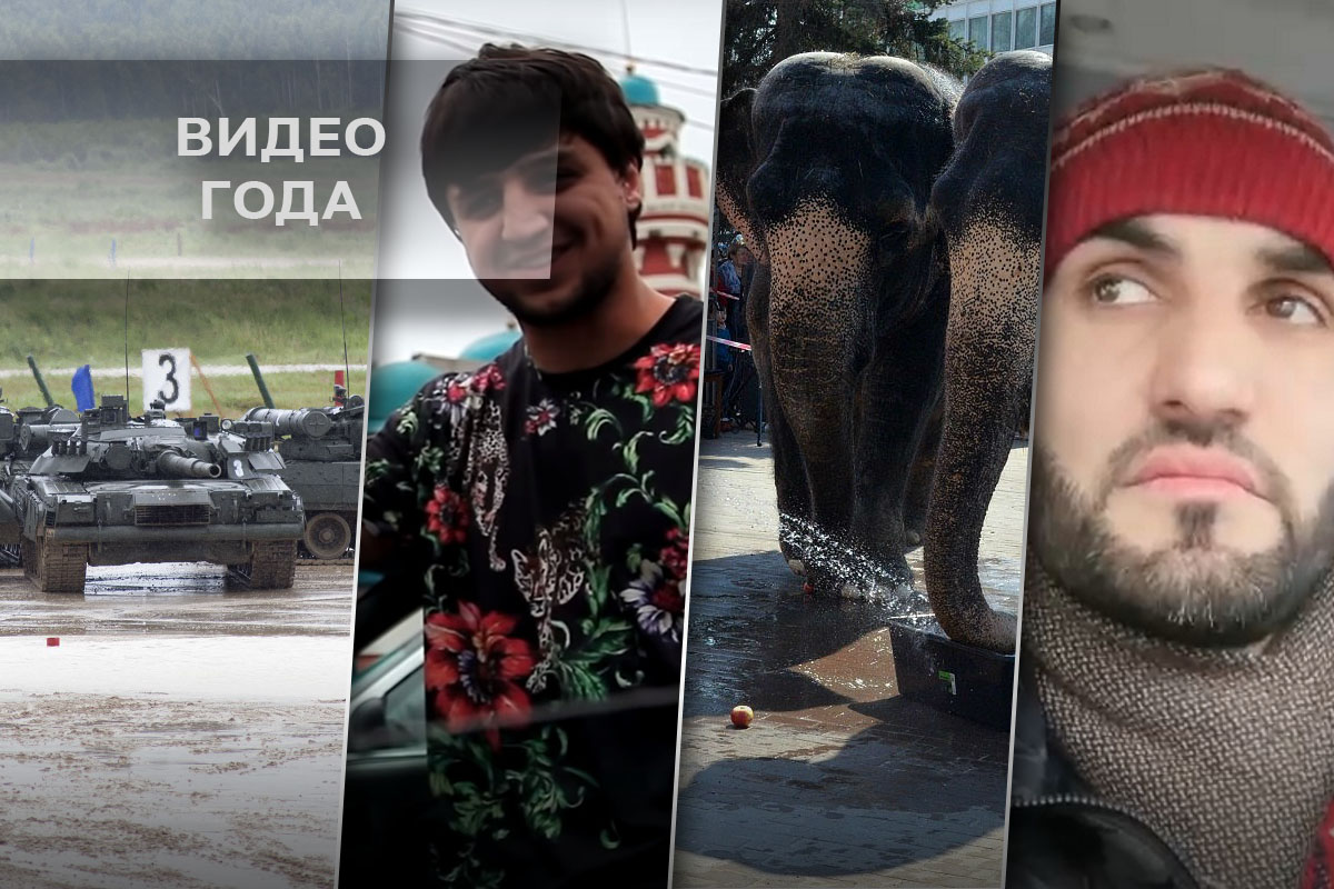 Видео года - 2019 в Тверской области: спасение кота, танковый вальс и обращение маршрутчика