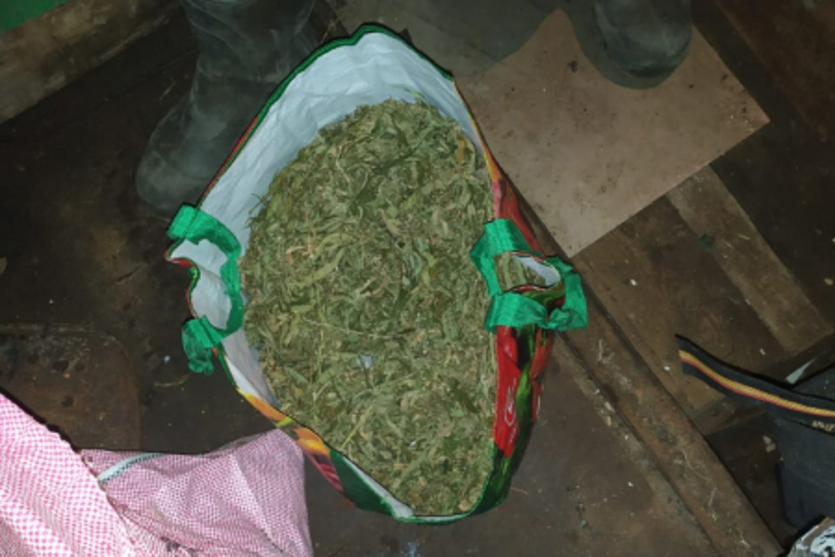 В Кимрах в ходе обыска в доме мужчины найден килограмм марихуаны