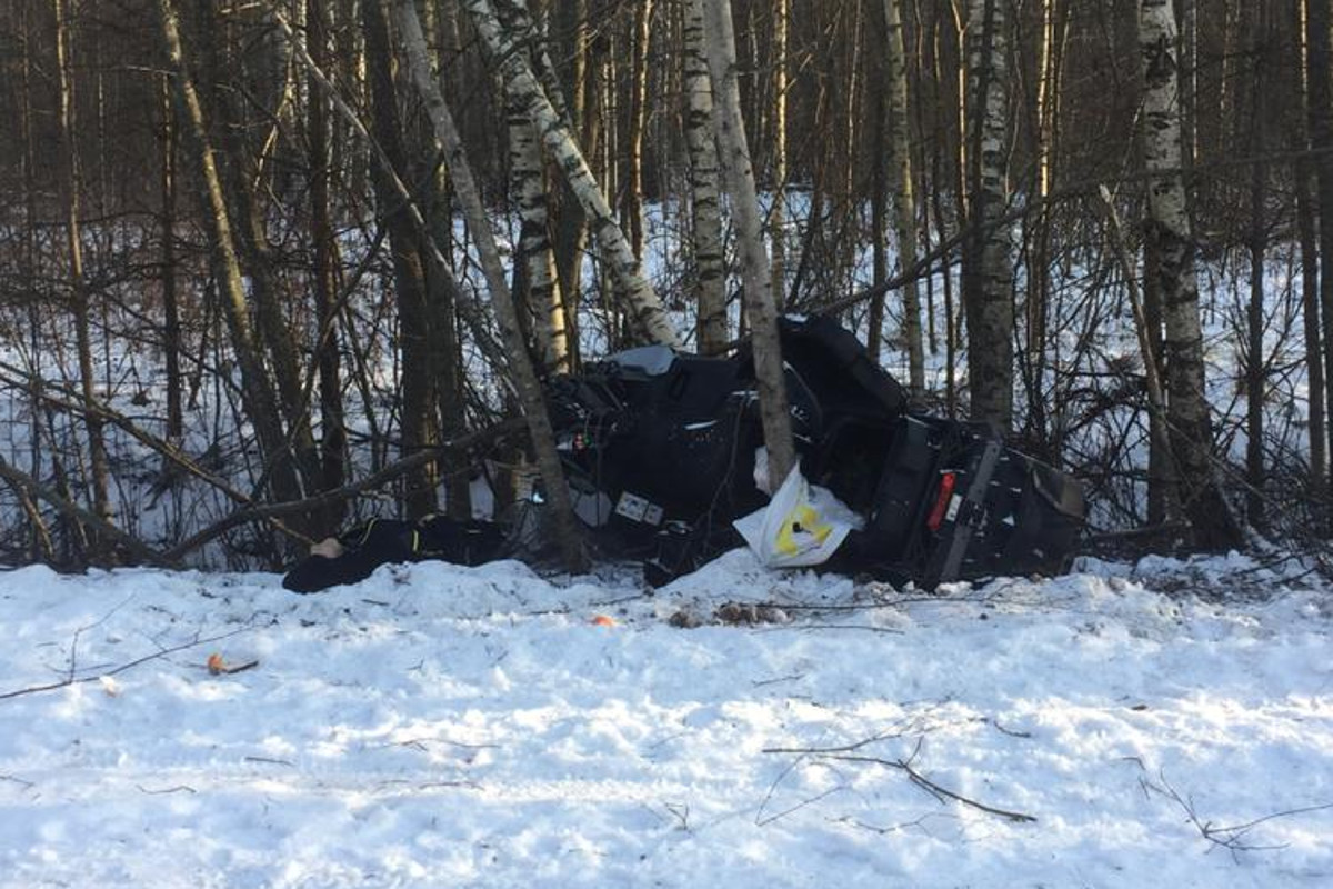 В Тверской области на базе отдыха снегоход врезался в дерево, погиб человек