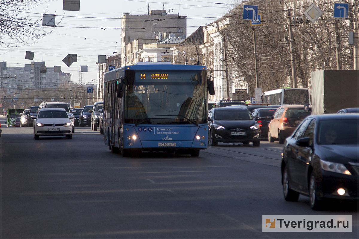 В Твери назвали самые популярные автобусные маршруты