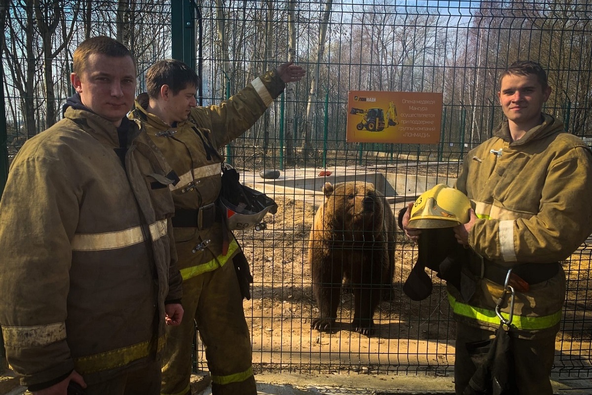 Авиамедведь Мансур из Тверской области чуть не стал жертвой природного пожара