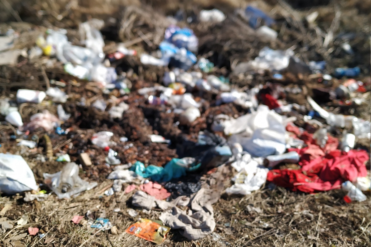 Утопаем в мусоре: свалка в селе под Тверью растянулась на 150 метров