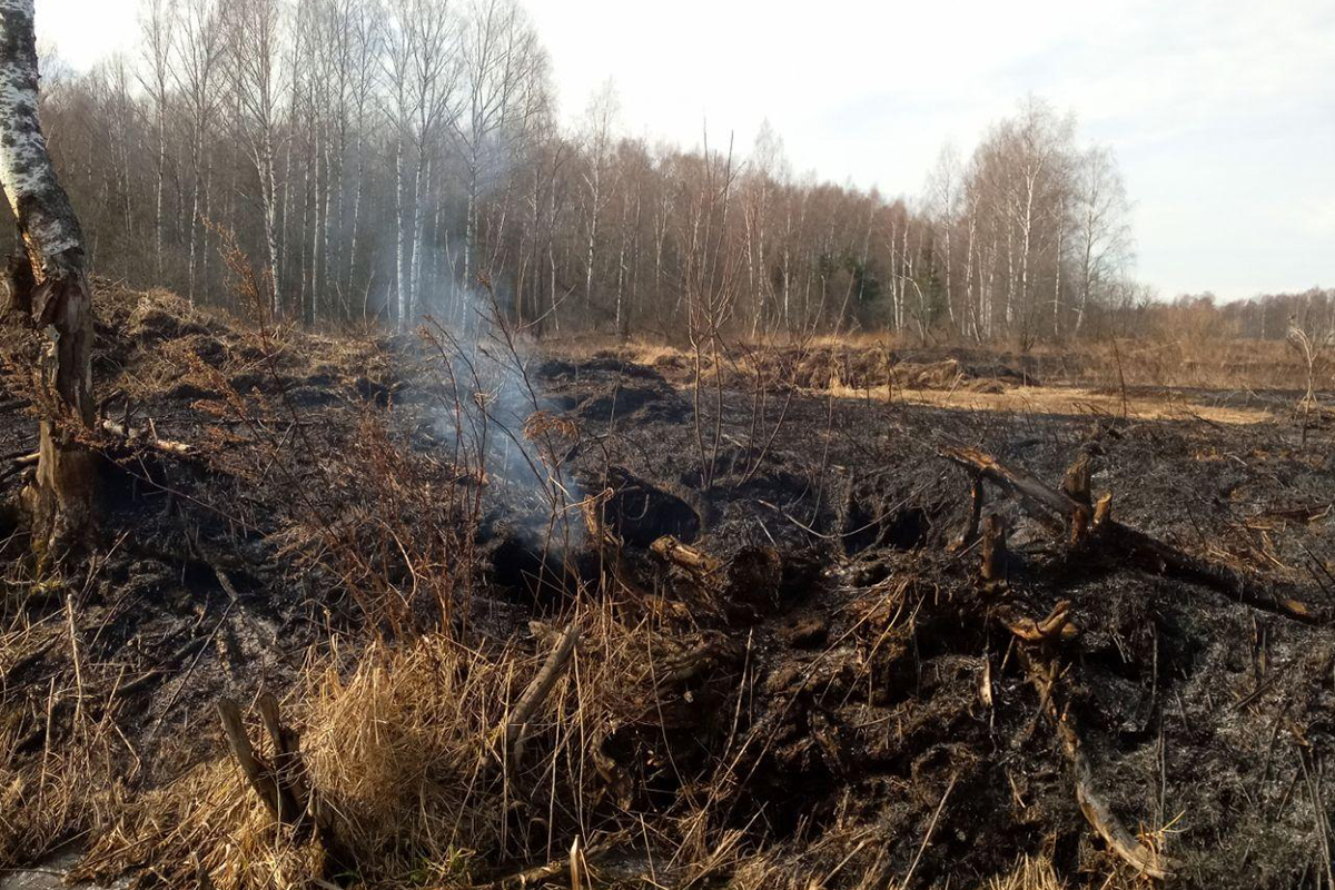 В Тверской области начали тлеть торфяники