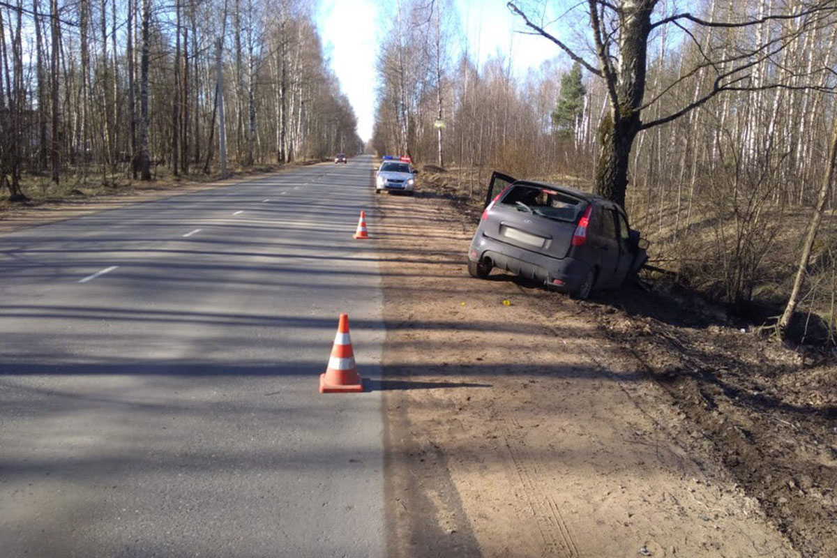 В Тверской области легковушка протаранила дерево, есть пострадавшая