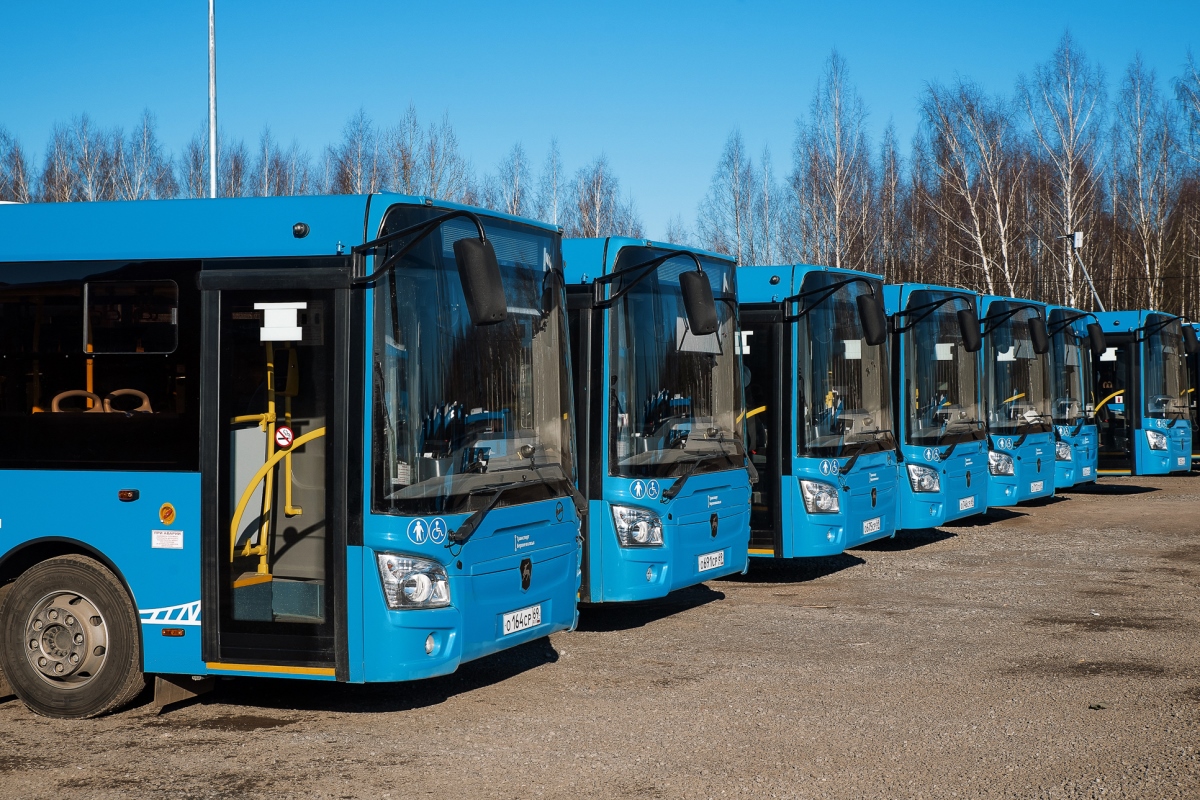 Жители Ржева, Кимр, Торжка и Старицы пересядут на «синие» автобусы