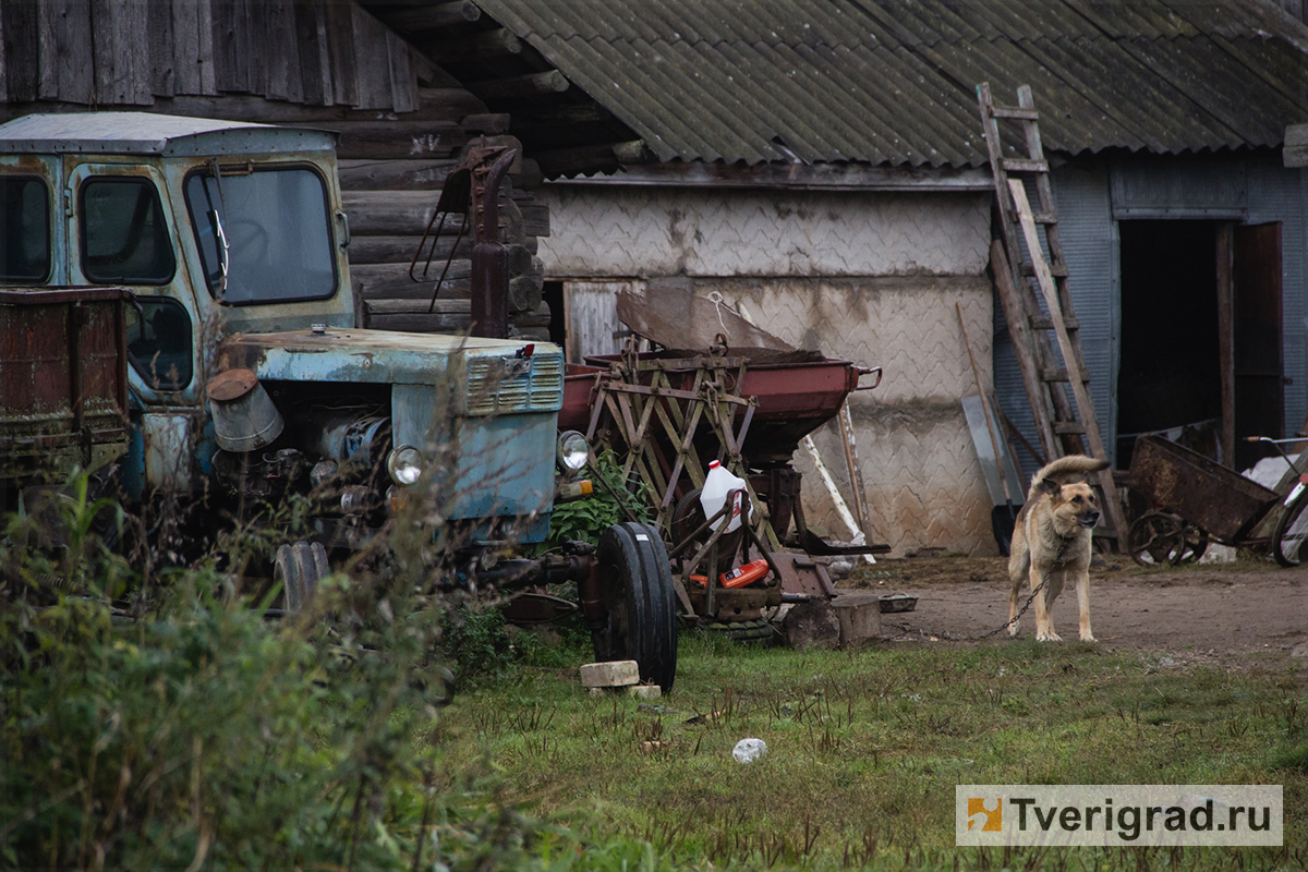 Житель деревни под Тверью остался без денег, пытаясь купить трактор