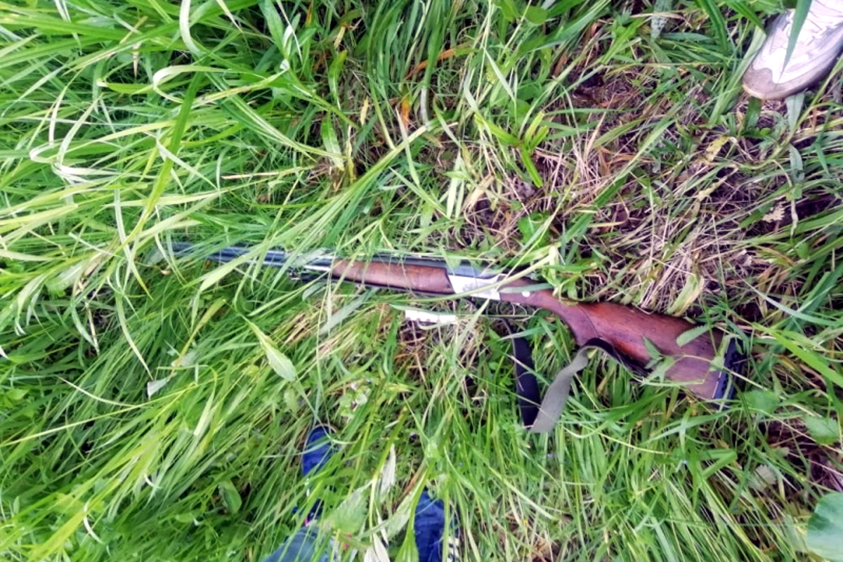 Браконьера, застрелившего двух лосей в Зубцовском районе, будут судить