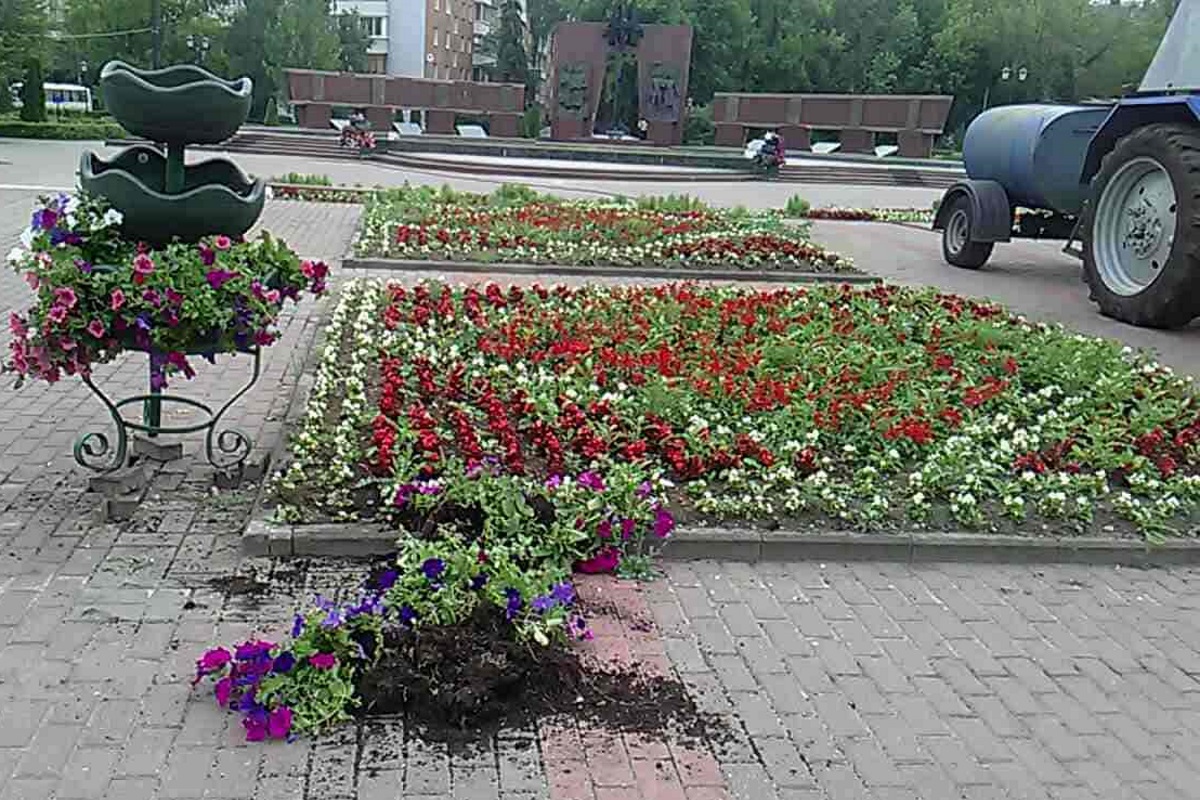 В Твери вандалы вырвали цветы из вазонов возле Смоленского захоронения