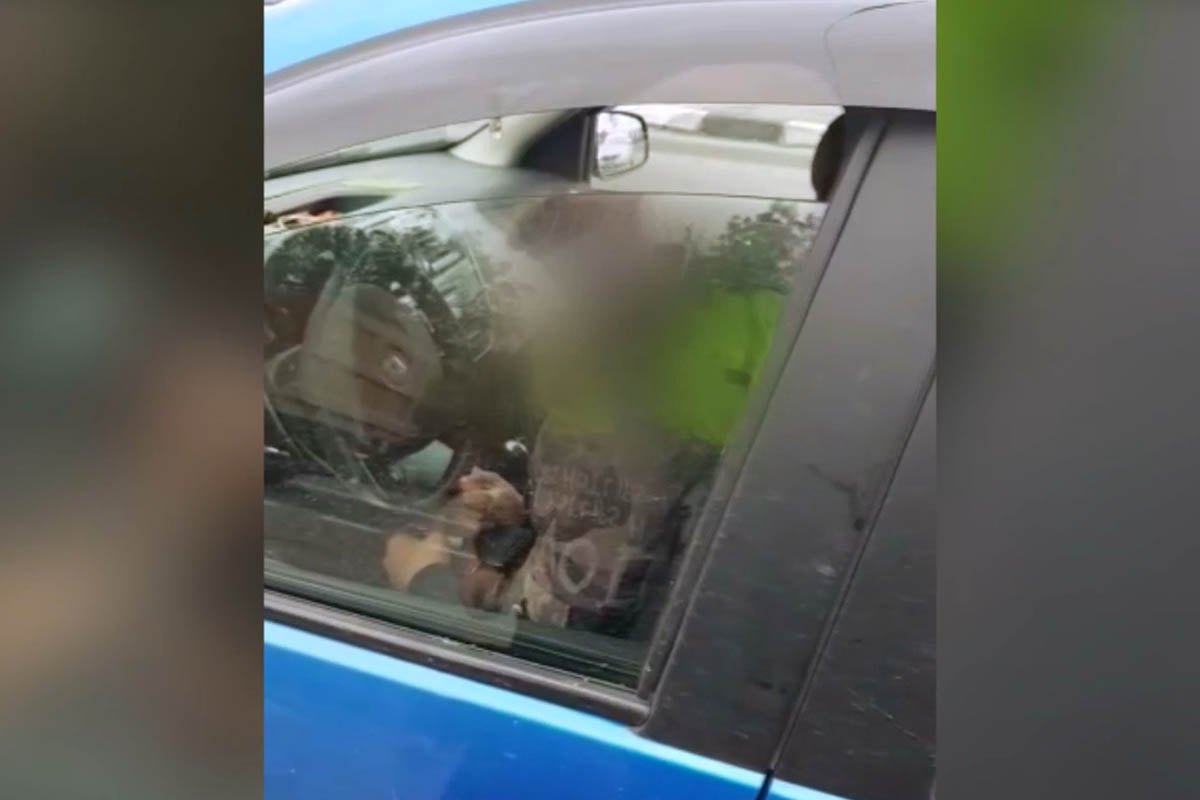 ГИБДД опубликовала видео задержания спящего водителя-наркомана в Твери