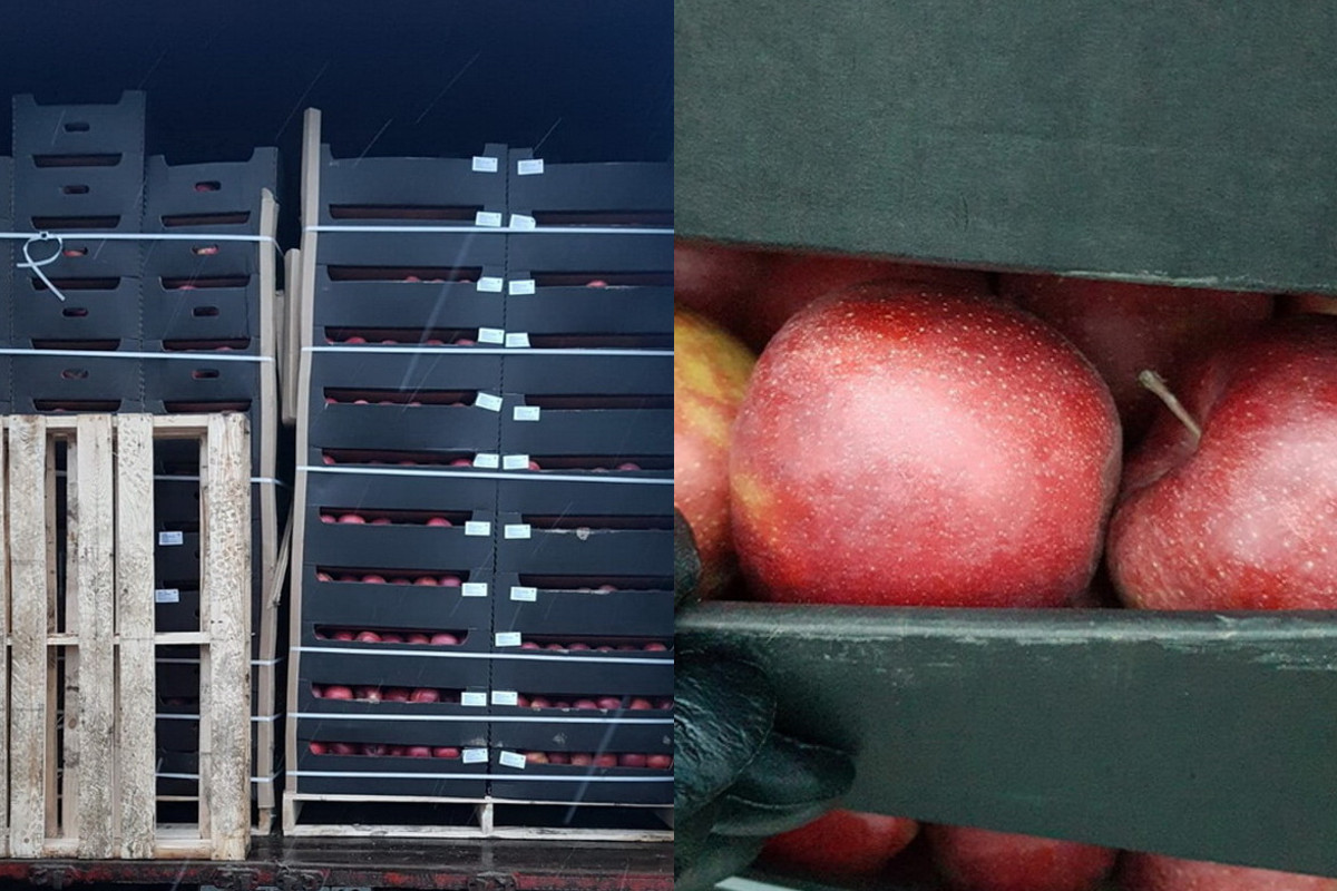 Дальнобойщики из Твери попались с двумя фурами яблок в Смоленской области