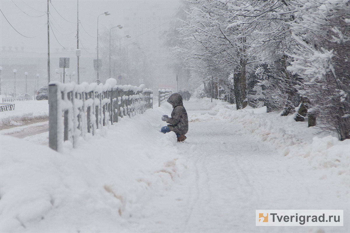 Снежный покров: где в Тверской области самые большие сугробы