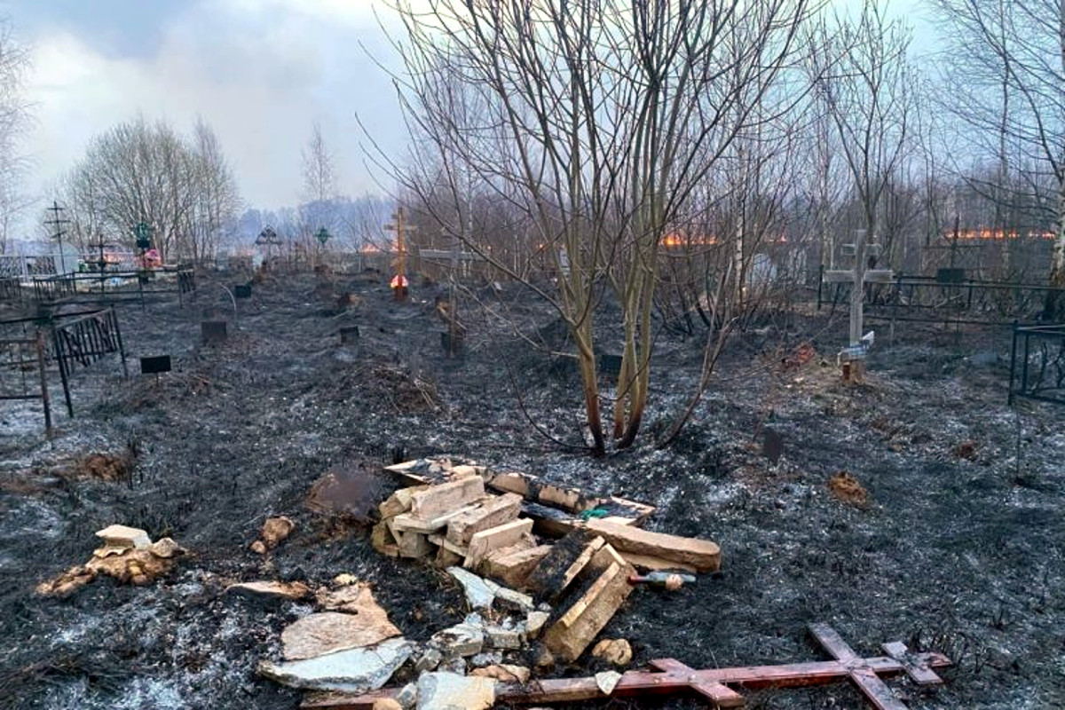 В Тверской области после пожара на кладбище оштрафовали директора МУП «Ритуал»