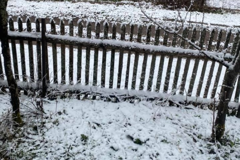 В Тверской области выпал майский снег