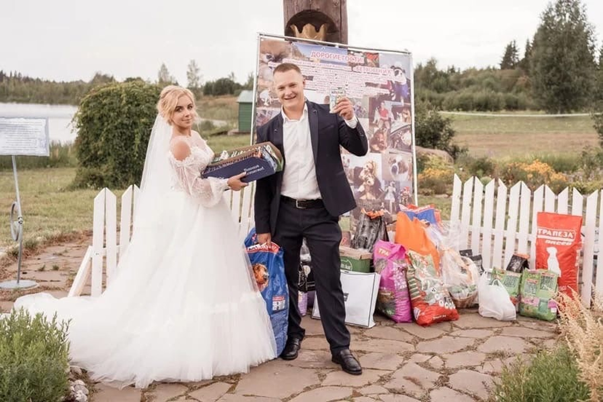 В Тверской области молодожены попросили подарить им на свадьбу корм для бездомных животных