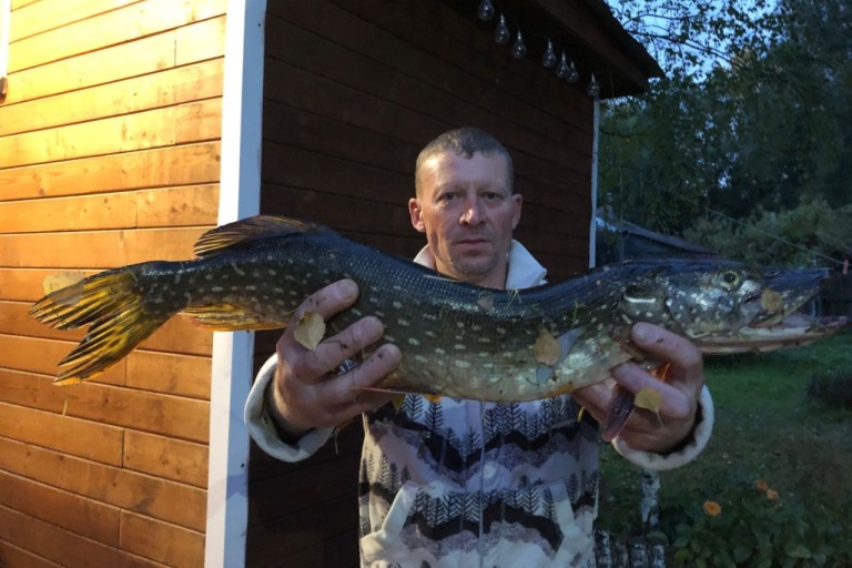 В Тверской области на выборы пришел рыбак с солидным уловом