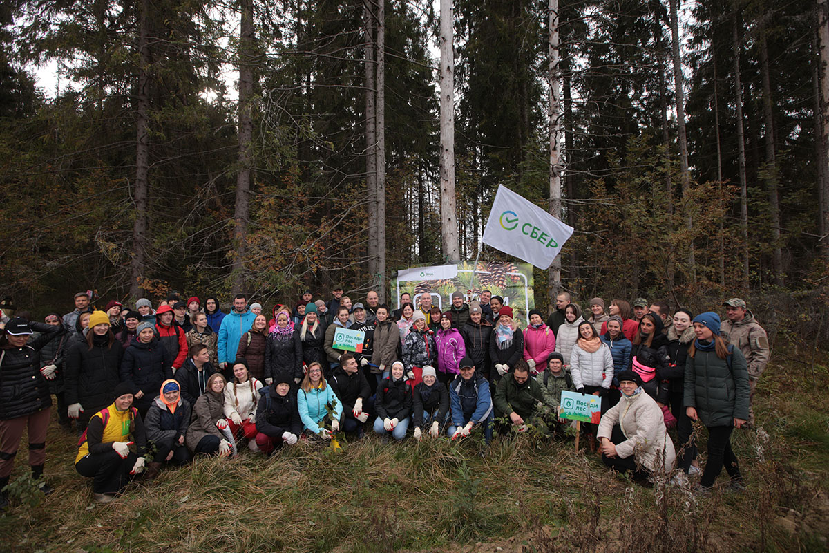 Более 20 тысяч молодых саженцев высадил Сбер в рамках Всероссийской экологической акции «Сохраним лес»