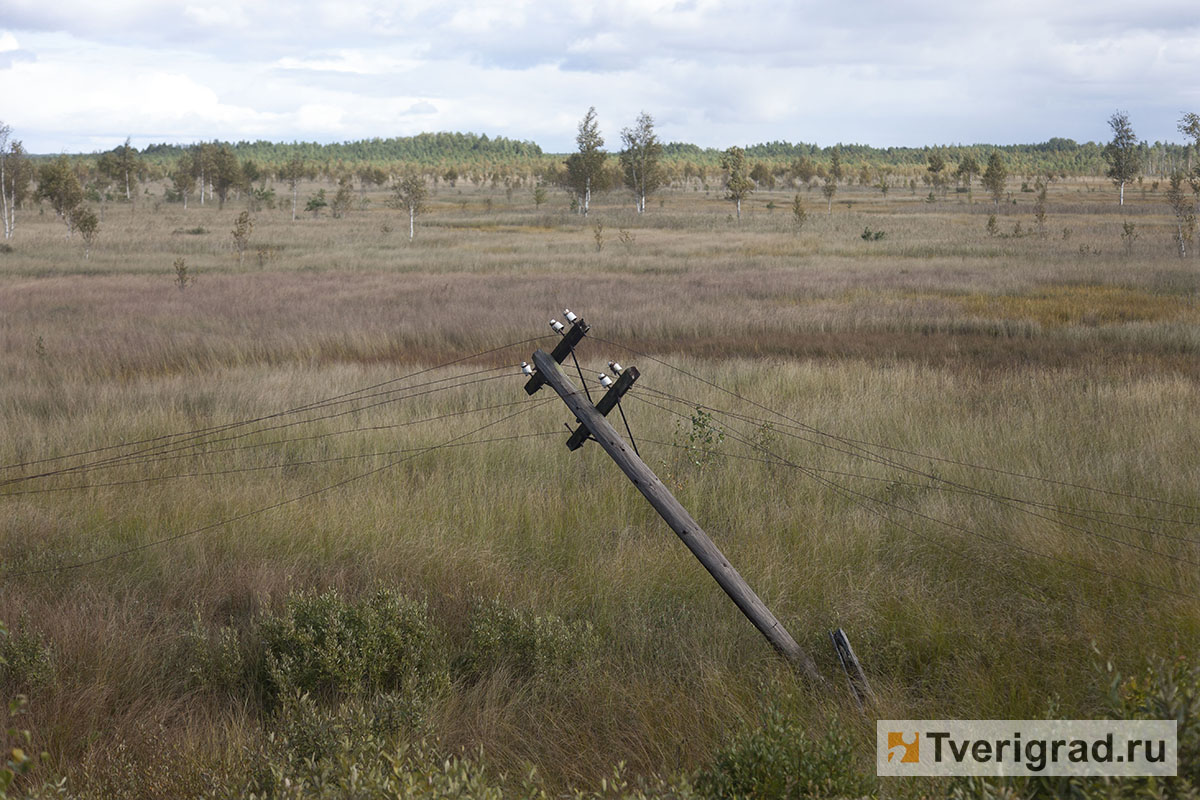 В Тверской области бобры обесточили деревню, в которой живёт одинокий дедушка-инвалид