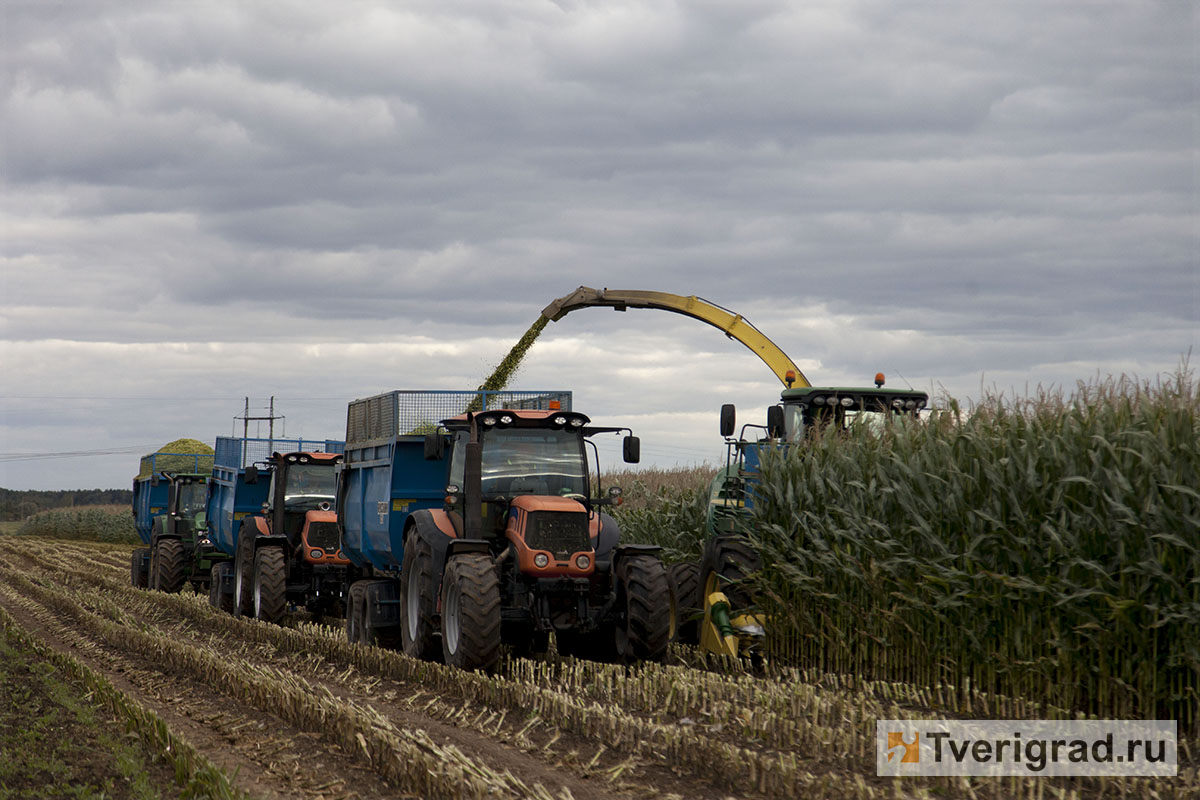 В Тверской области собрали более 165 тысяч тонн урожая