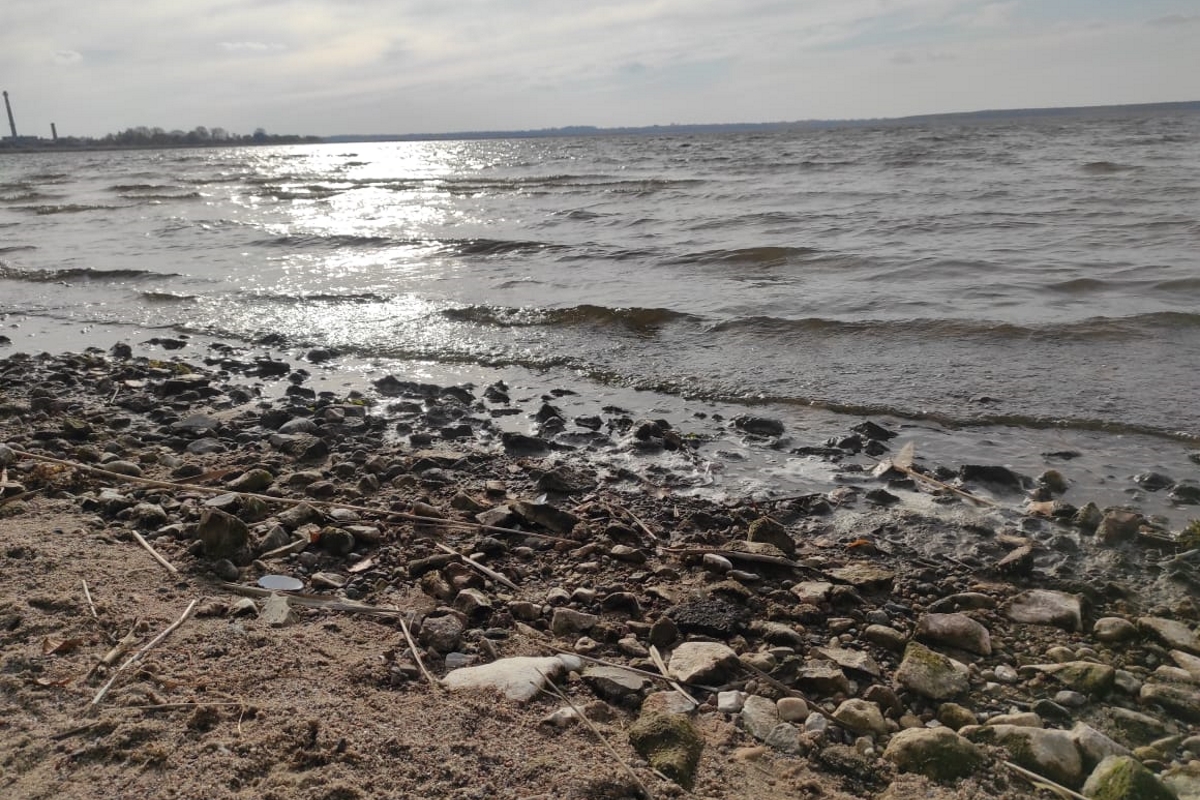 В Тверской области специалисты минприроды проверили факт утечки мазута на озере Селигер