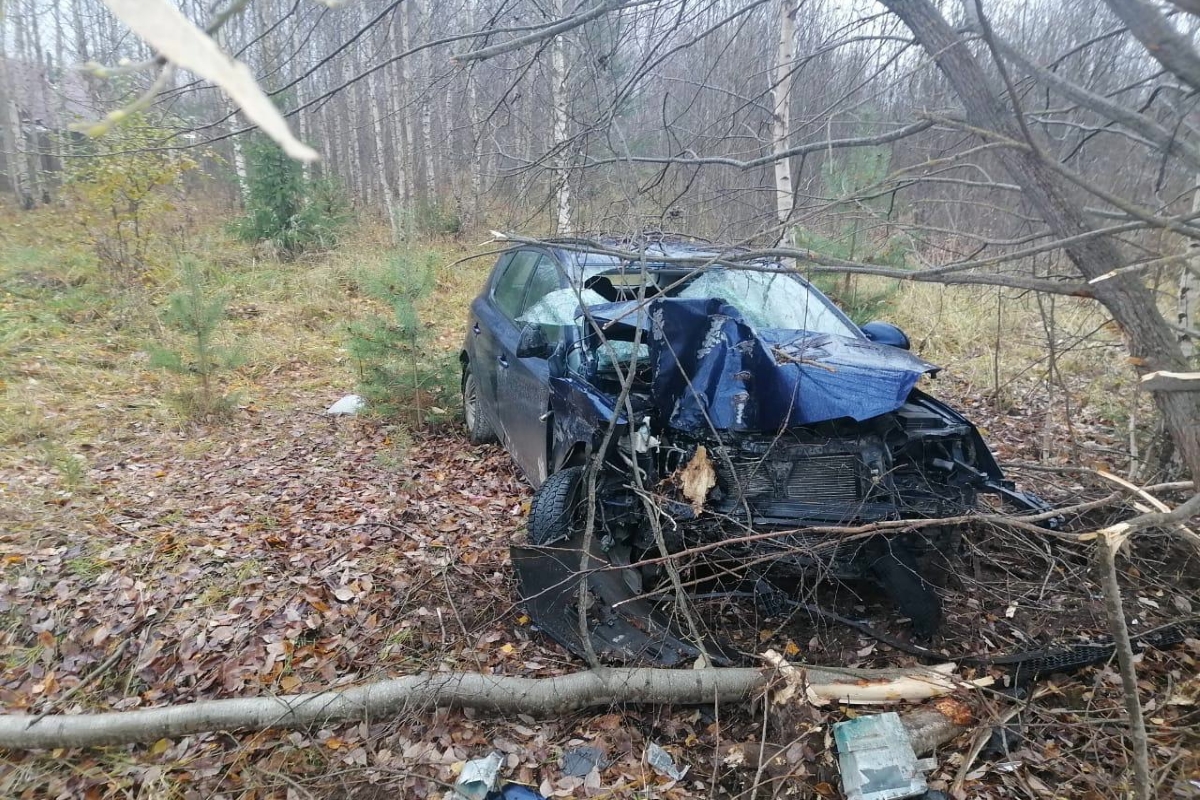 В Тверской области пьяный водитель врезался в дерево – пострадала пассажирка