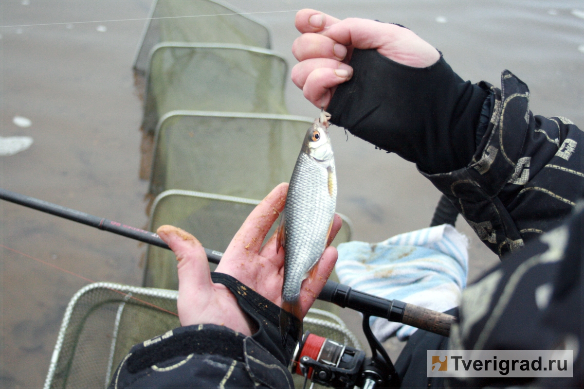 Правила рыбалки в Тверской области: что изменилось с 1 марта