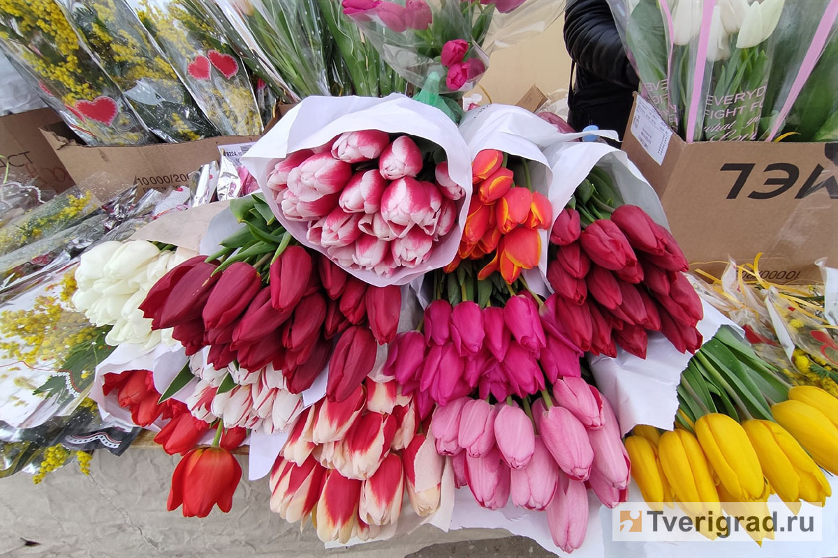 Больше 90 тысяч тюльпанов вырастили для мартовской выставки в Твери
