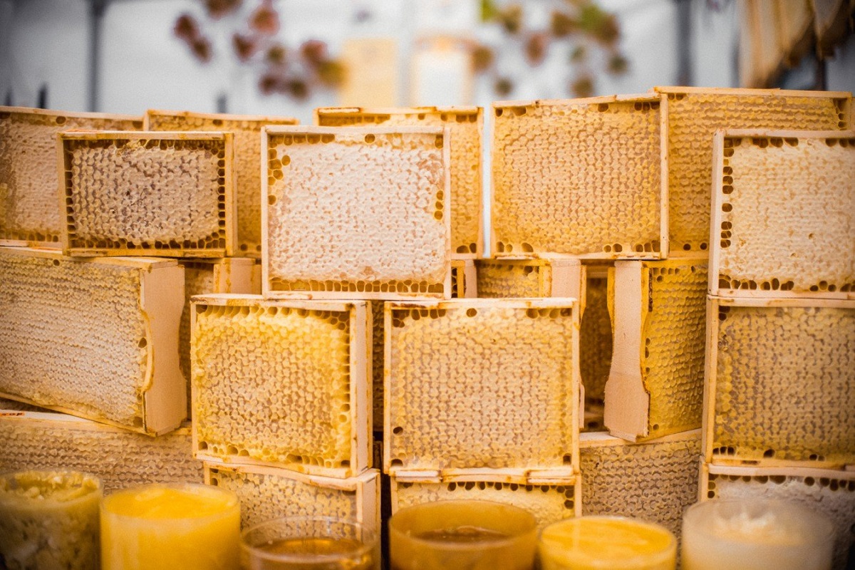 Без повышения цен: в Твери открылась ярмарка мёда от тамбовских пчеловодов