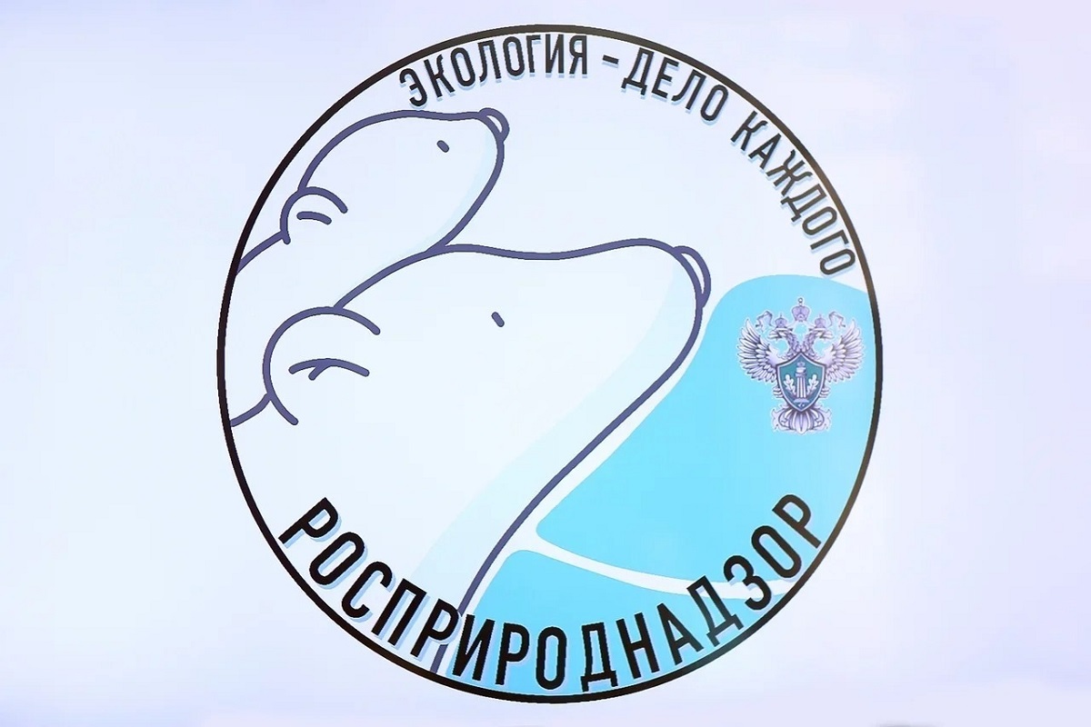 Детей Тверской области приглашают к участию в премии «Экология - дело каждого»