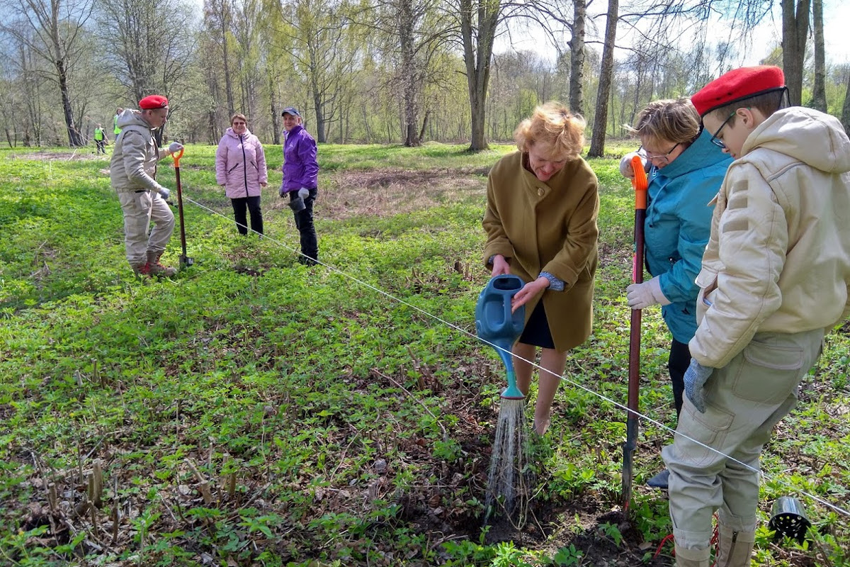 В Тверской области в усадьбе «Знаменское – Раёк» посадили молодые дубы