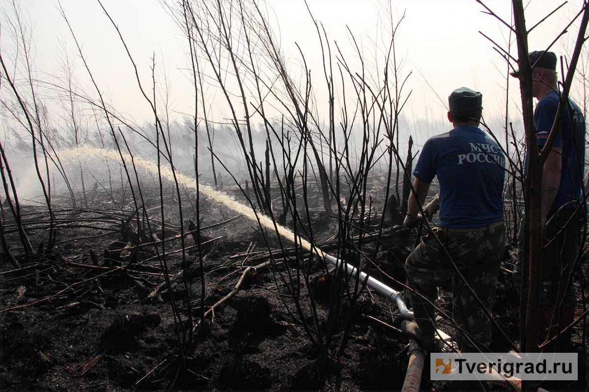 В Тверской области собственники сельхозземель должны помогать тушить пожары на участках