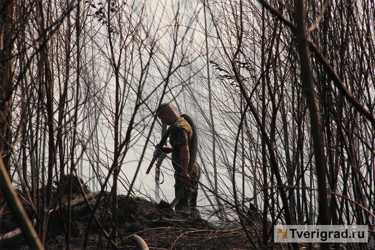 Авиалесоохрана предупредила о возможных пожарах в Тверской области