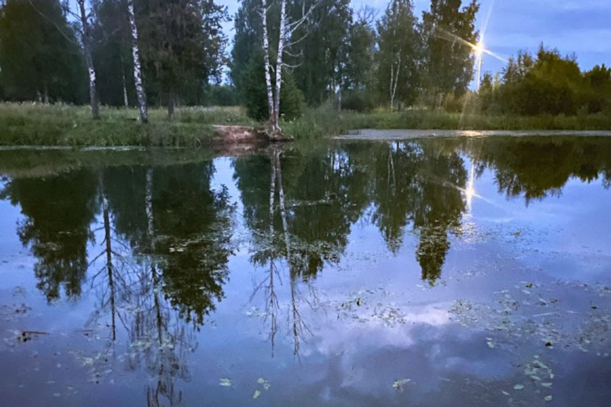 В пруду в Нелидово утонул 46-летний мужчина