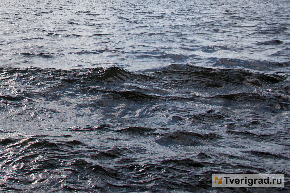 В Тверской области рыбак утонул в реке Межа