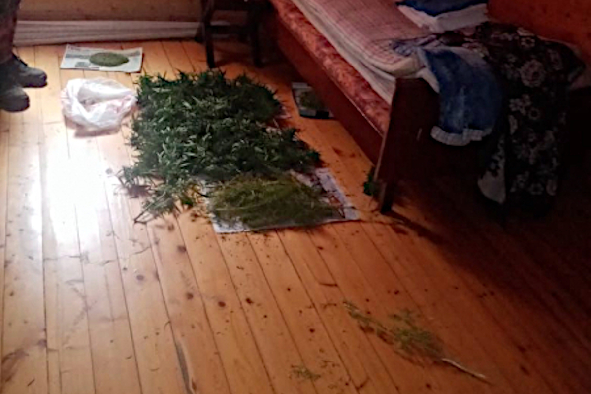 В Конаково полицейские нашли в дачном доме больше полкило конопли