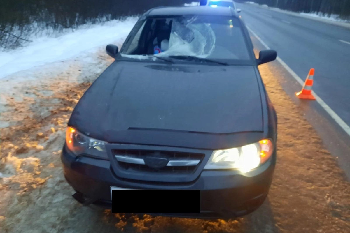 Пешеход пробил головой лобовое стекло Daewoo на трассе М-9 в Тверской области