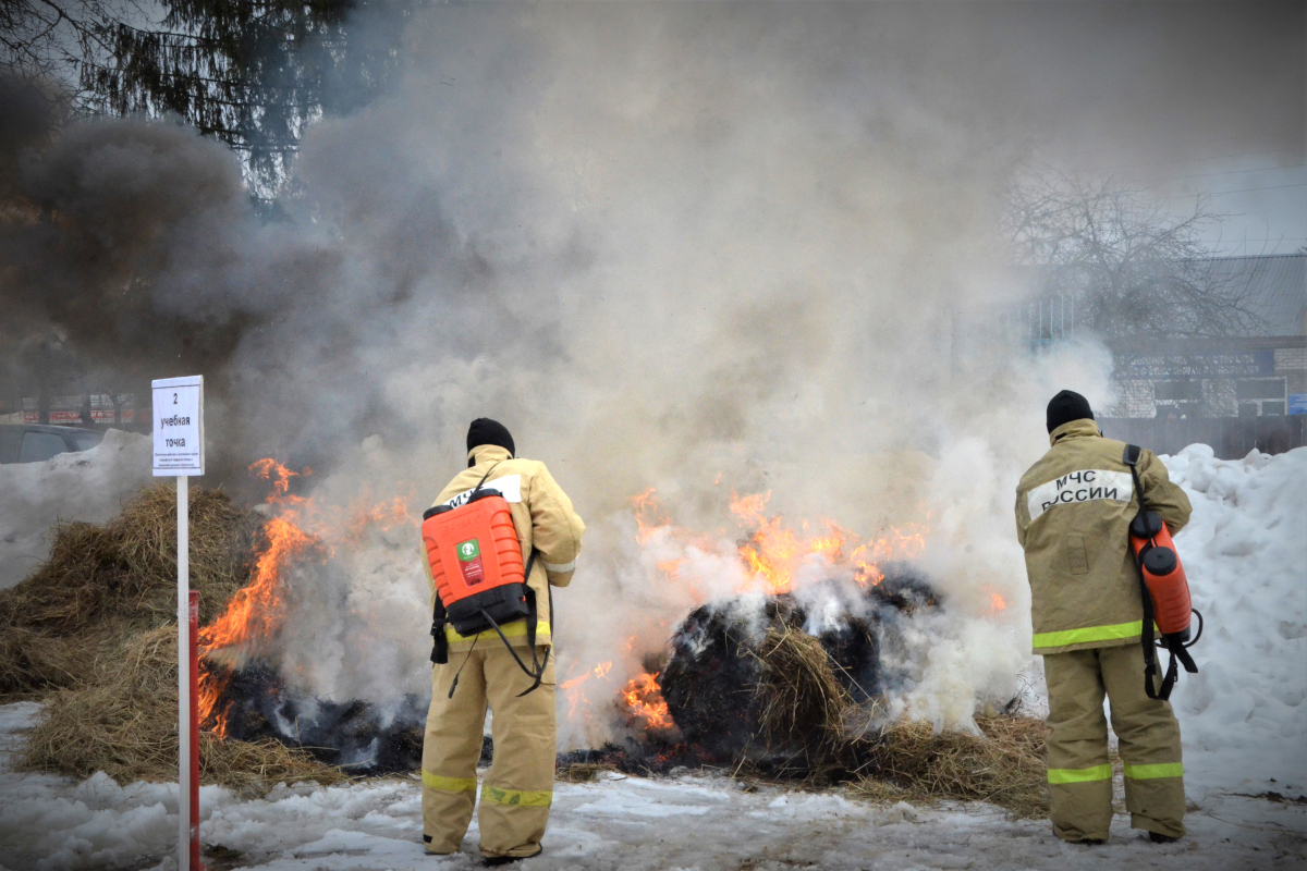 В Тверской области сотрудники МЧС тренировались тушить лесные пожары