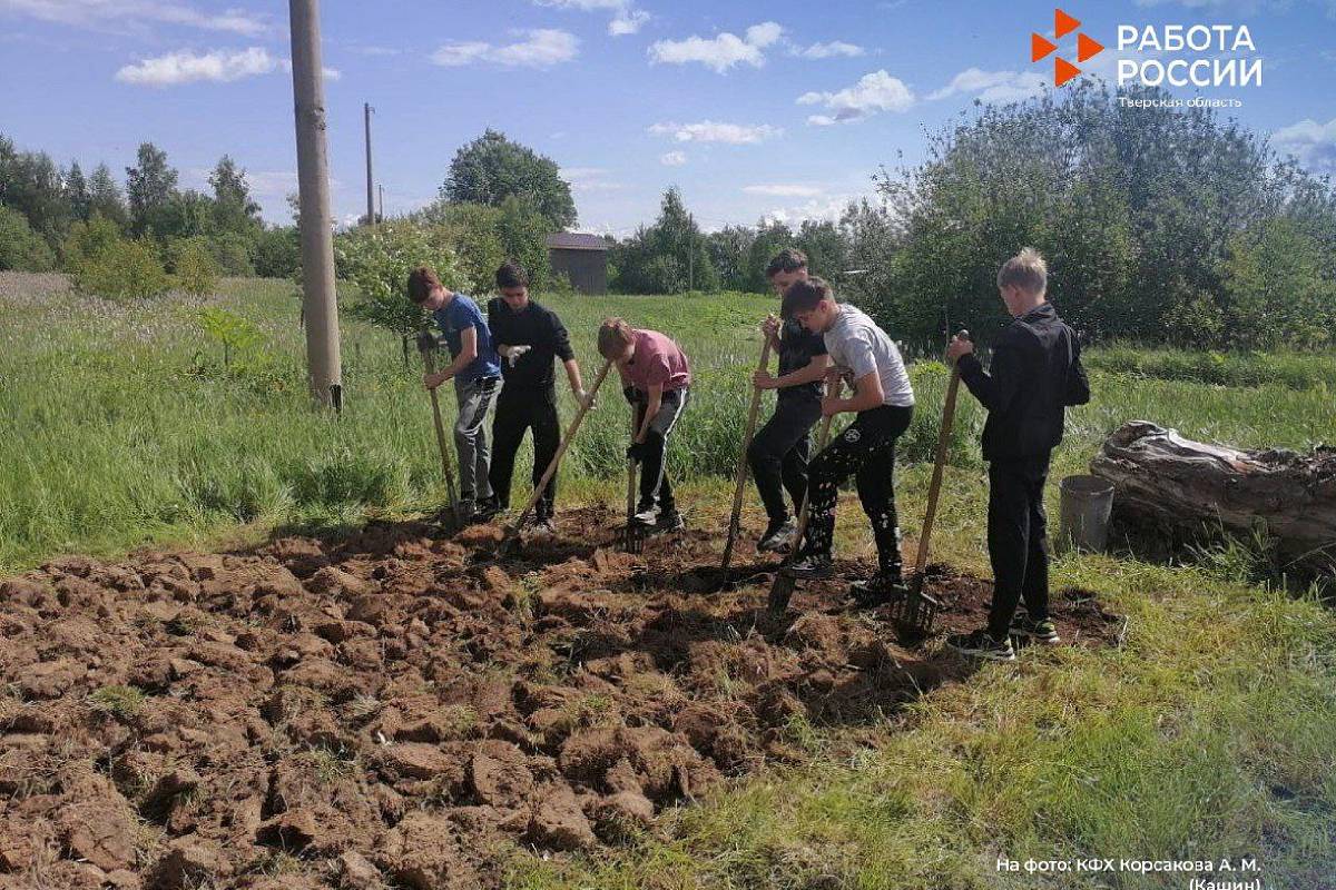 В Тверской области подростков трудоустраивают на сельхозпредприятия