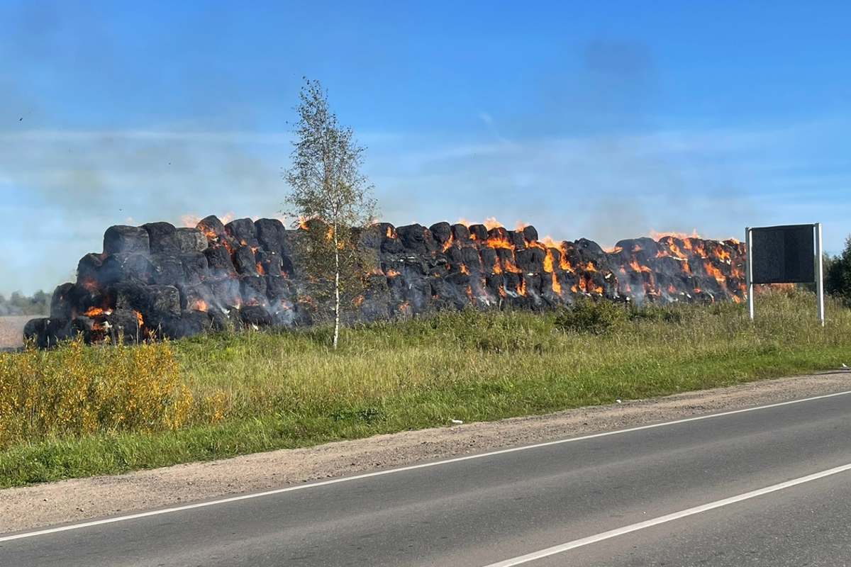 В Тверской области неизвестные сожгли запасы сена крупного агрохолдинга