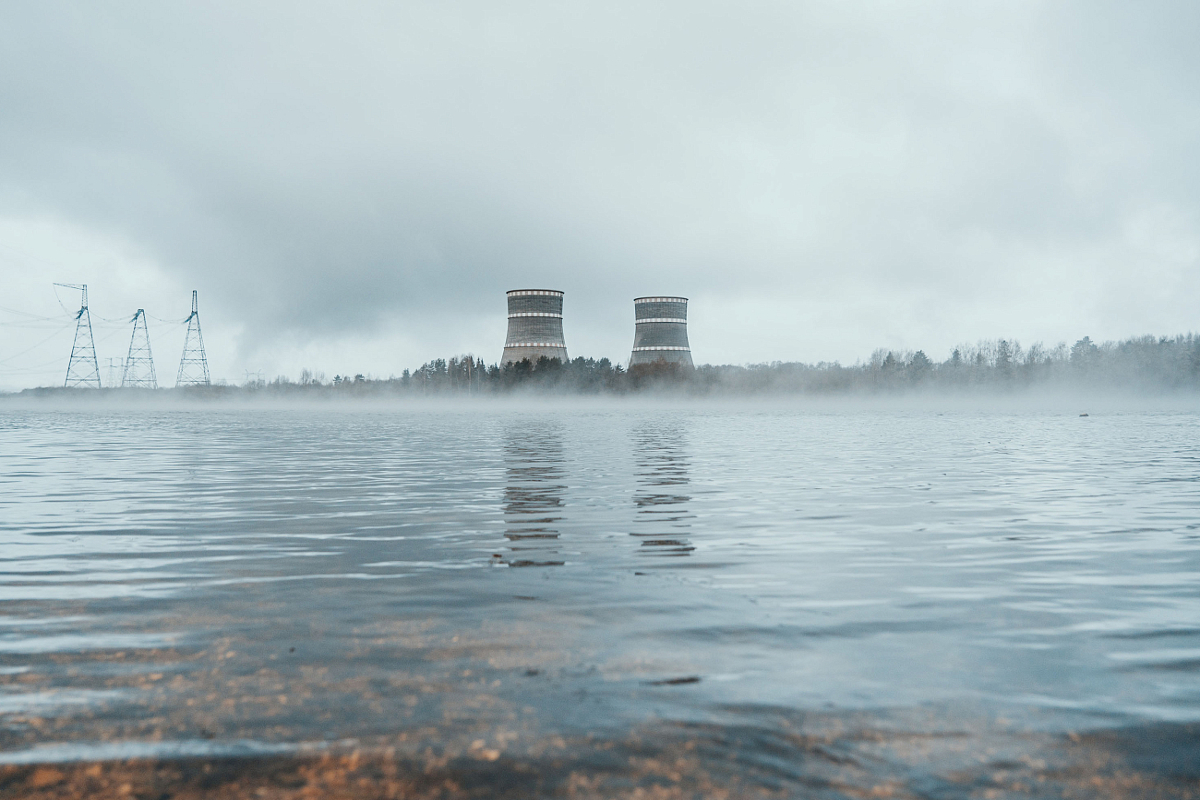 В Тверской области в озера-охладители атомной станции выпустили тонну мальков чёрного амура