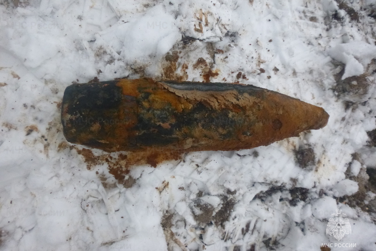 В Тверской области возле деревни Елдино обнаружили артиллерийский снаряд