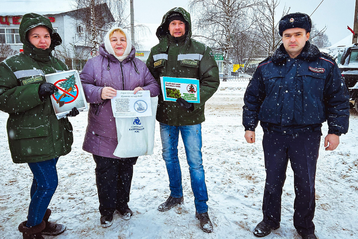 В Тверской области не зафиксировали незаконных рубок ёлок