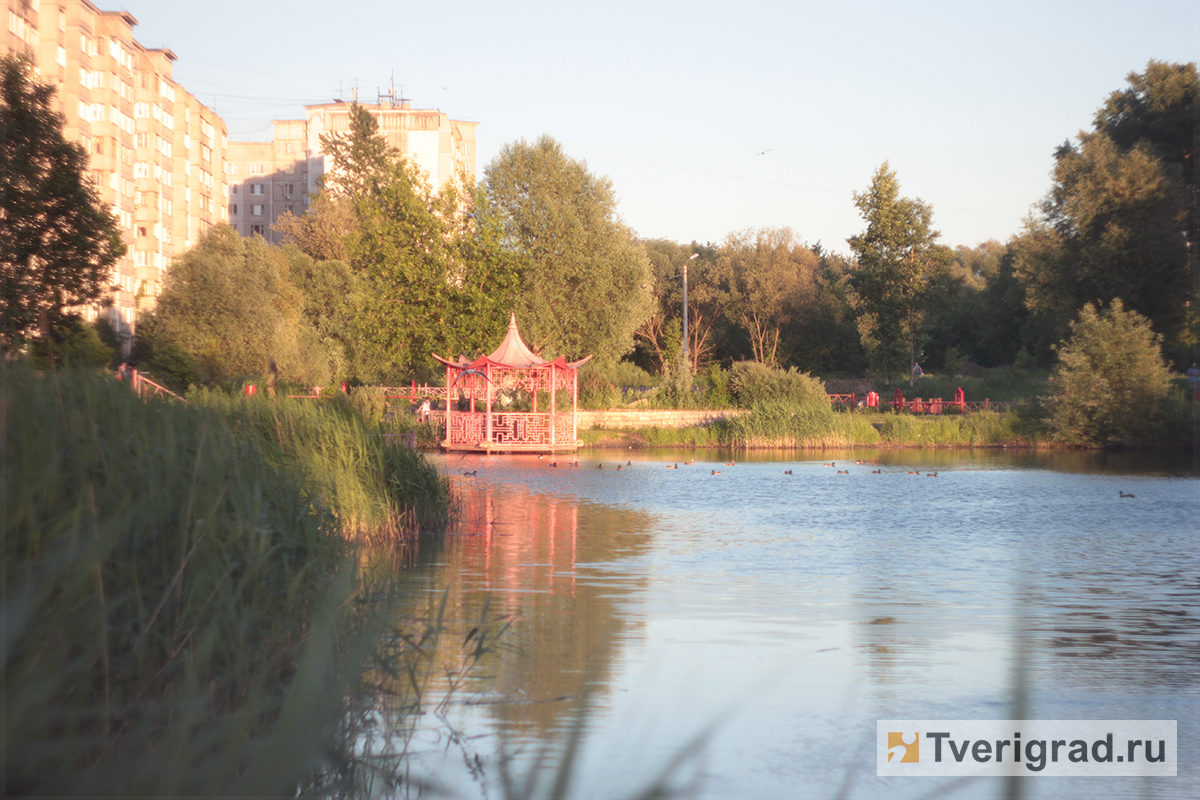 Китайский парк тверь фото