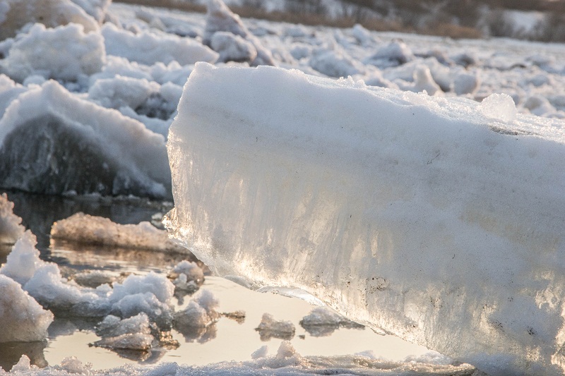 Лед тронулся значение фразеологизма. Лед тронулся. Лед тронулся картинки. Ушинский лед тронулся. Лёд тронулся фразеологизм.