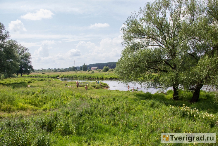 Лето в Твери