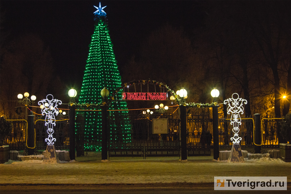 Новогодняя тверь. Тверь городская елка. Новогодняя елка городской сад Тверь. Тверь 2020 город. Тверь Горсад 2021 ёлка ночь.